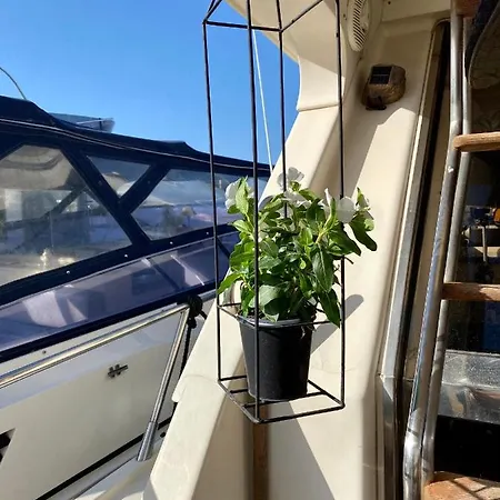 Panaby Houseboat Botel *
